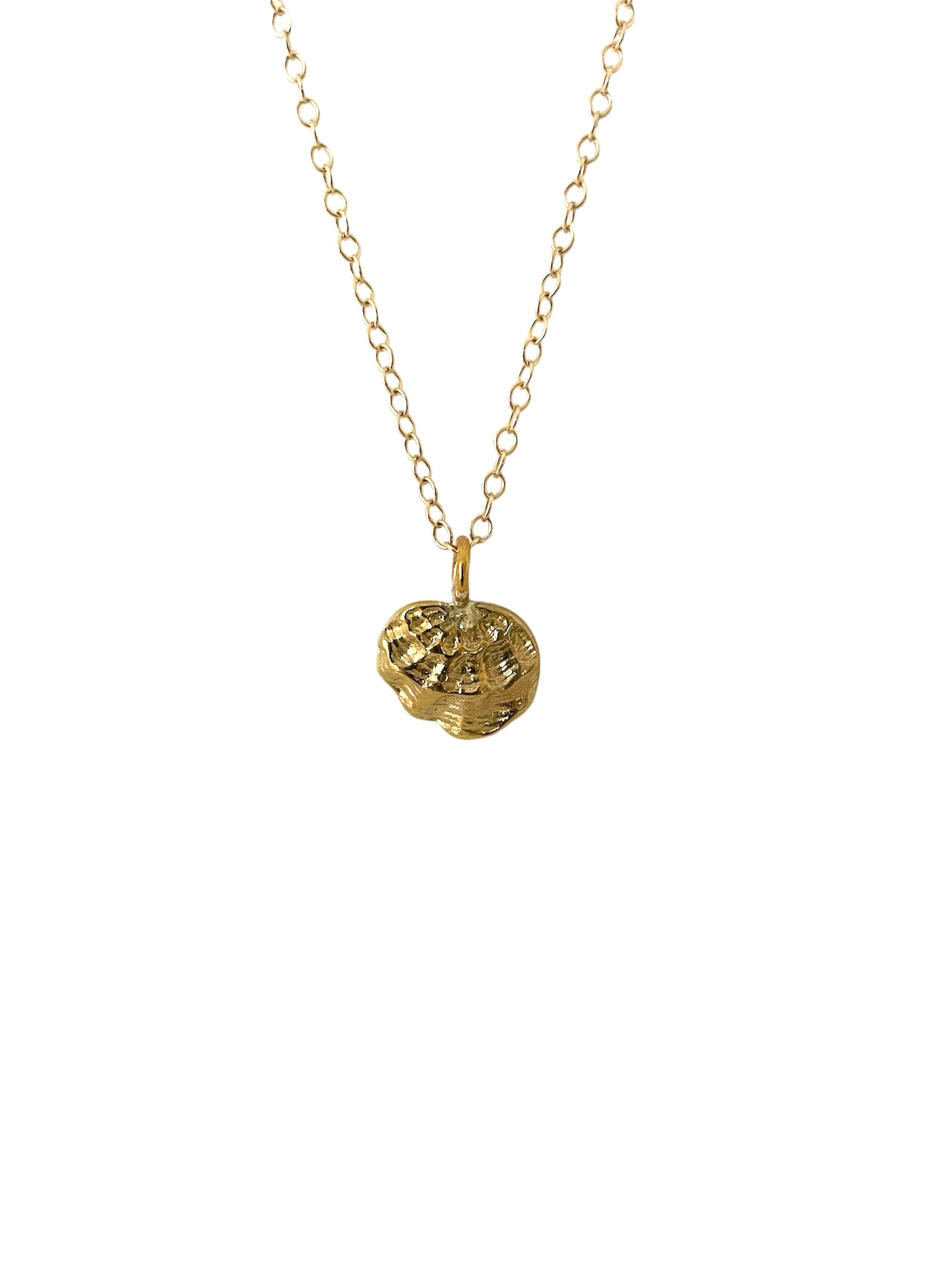 Pretty Shell Bronze and Gold Necklace