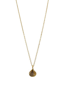 Little Scallop Bronze and Gold Necklace