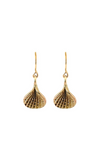 Tiny Scallop Shell Earrings